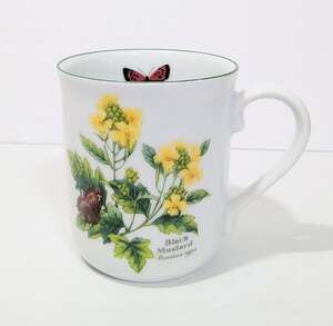 Royal Worcester Worcester Herbs Black Mustard Bay Fine Porcelain Mug Botanical